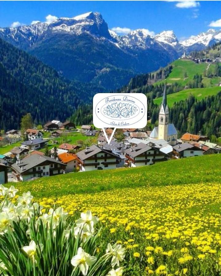 Residenza Domino Lejlighedshotel Selva di Cadore Eksteriør billede